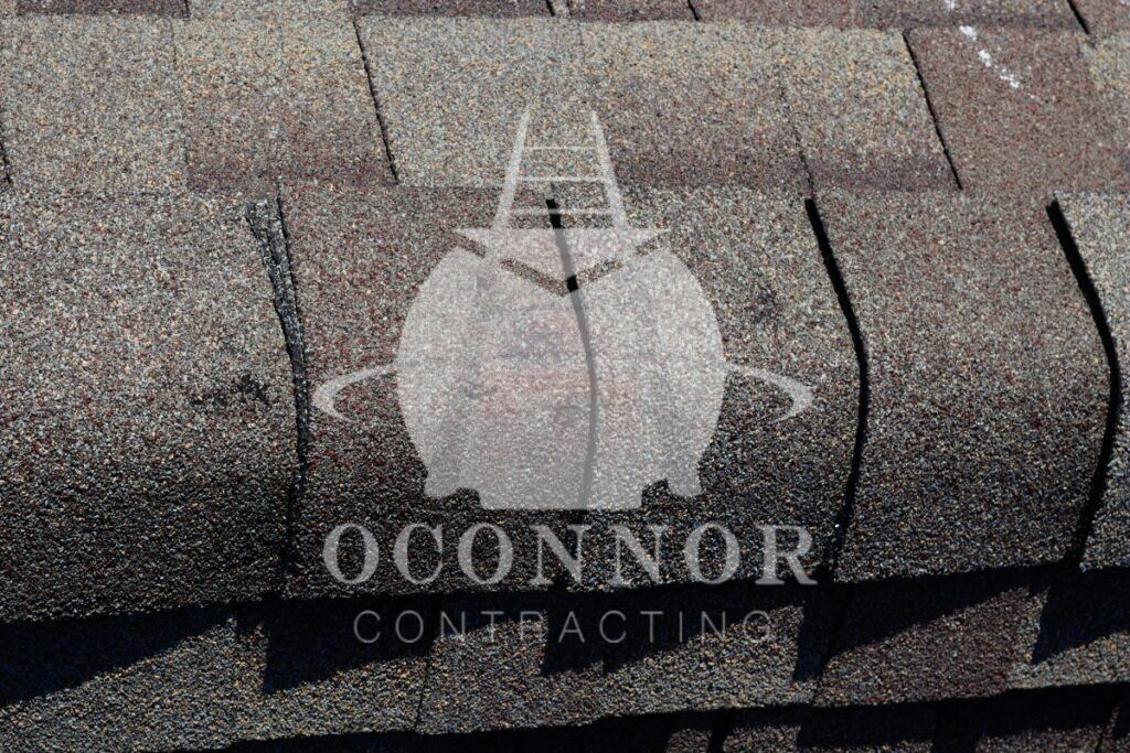 Regular Roof Shingles