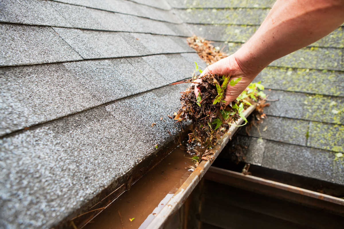 Clogged or Blocked Gutters