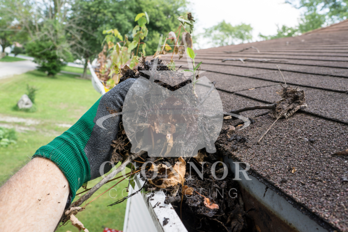 How To Remove Gutter Spikes Without Damaging The Gutter 2 damage the gutter during this process