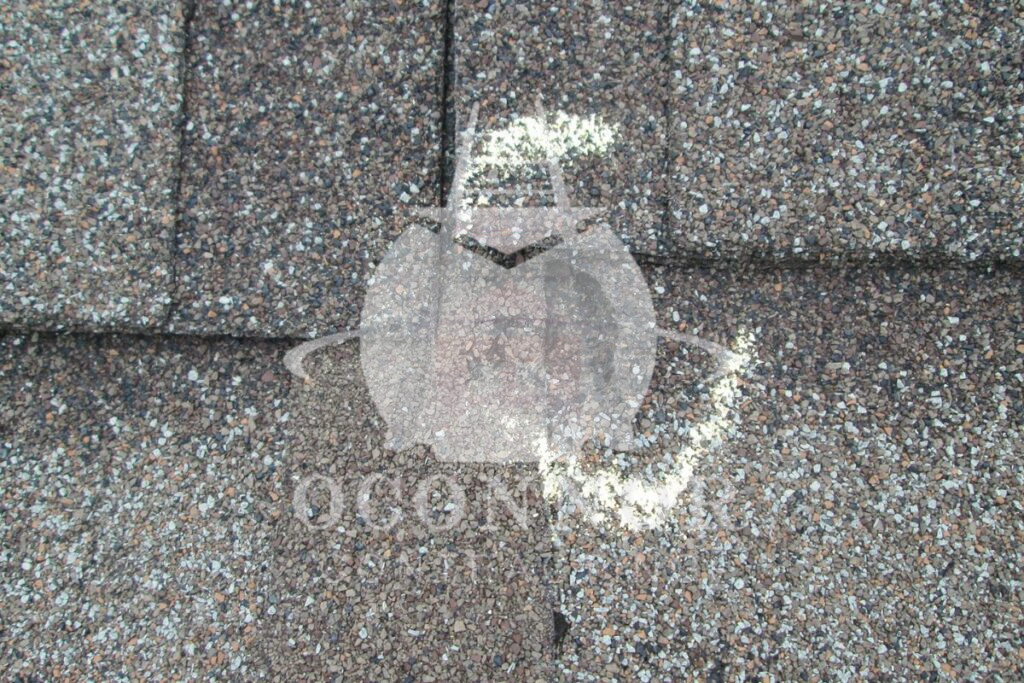 What is Roof Blistering and How to Fix It 1 Roof Blistering