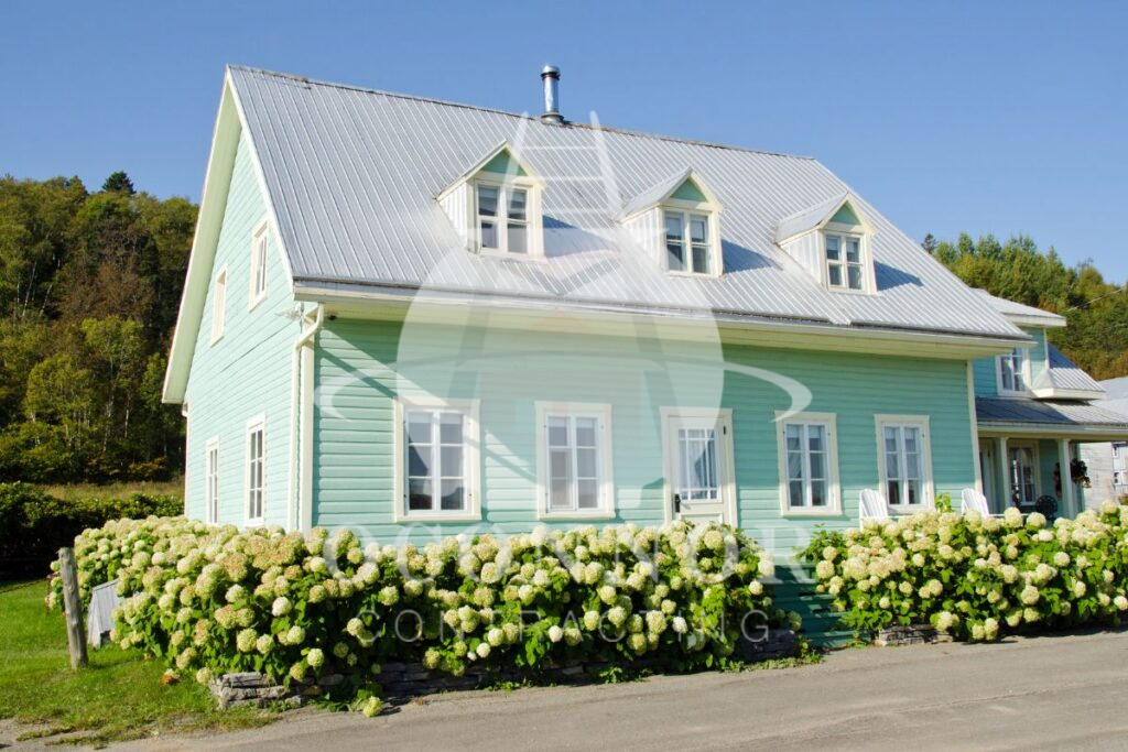 metal roof cost 