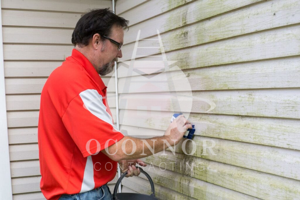 Vinyl Siding Cleaning 