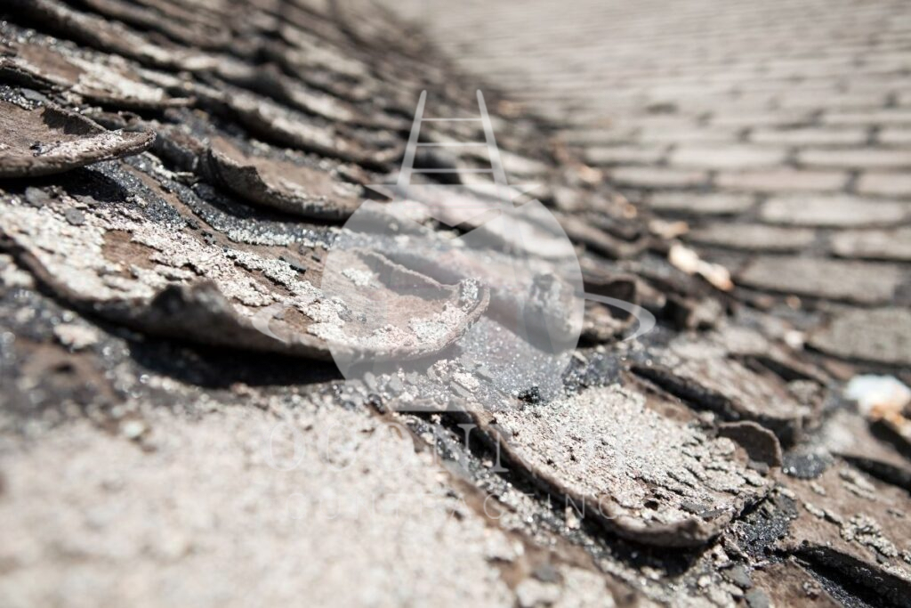 Curling or Buckling Shingles