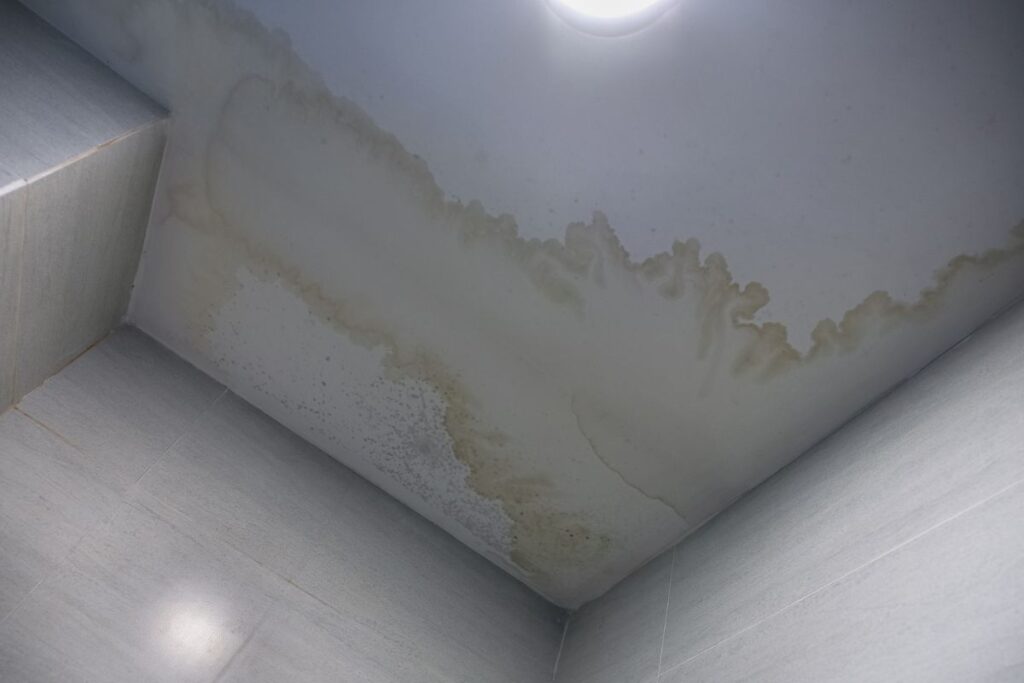 What Is Attic Rain? A 2025 Guide For Homeowners 2 Water Stains on Ceilings