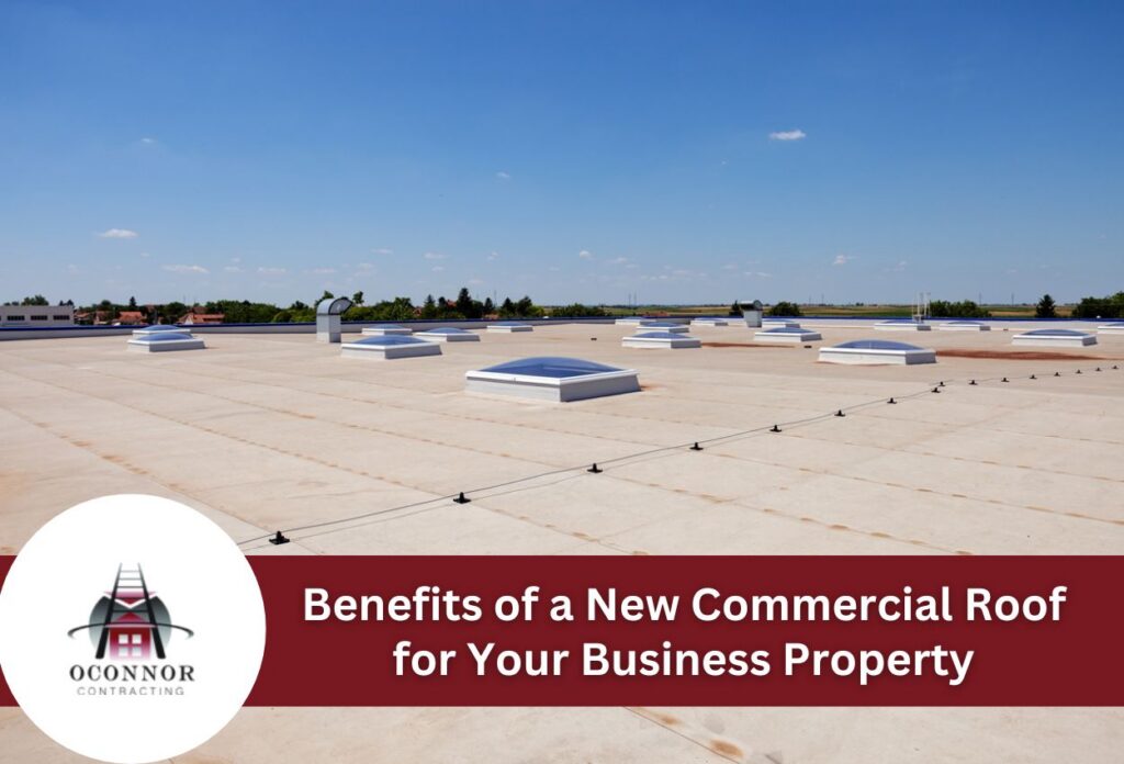 Wide view of a new flat commercial roof with skylights under a clear sky.